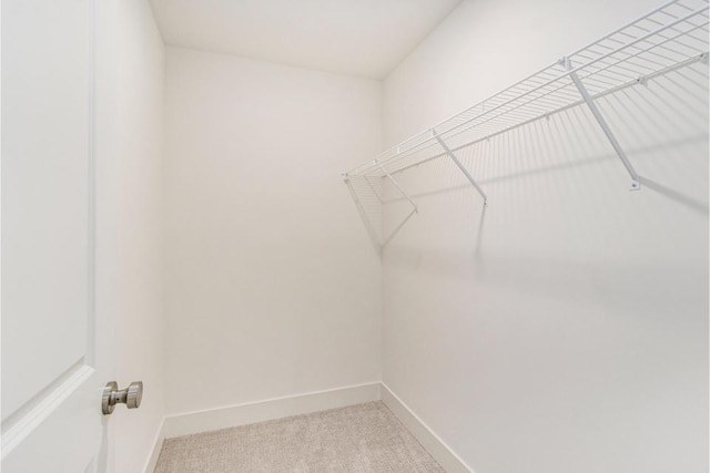 spacious closet with carpet flooring