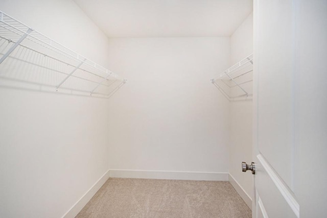 walk in closet with light colored carpet