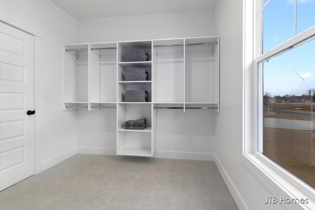 spacious closet featuring carpet floors