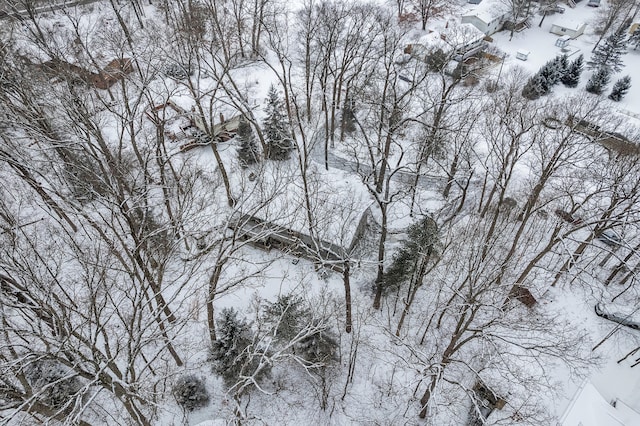 view of snowy aerial view