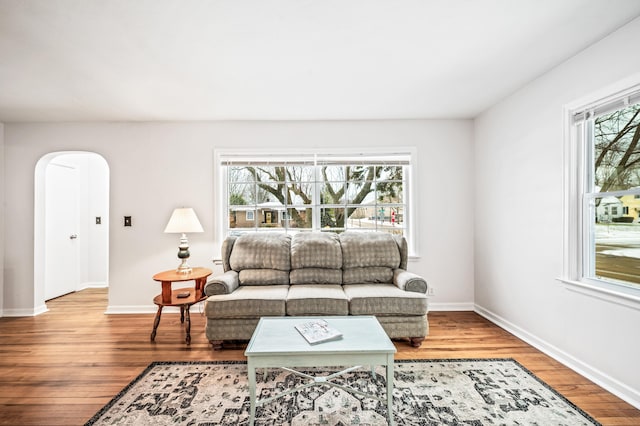 living room featuring hardwood / wood-style floors and plenty of natural light