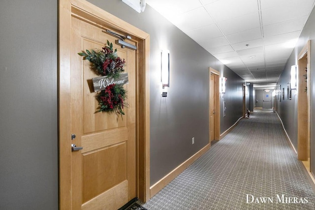 corridor featuring carpet and a paneled ceiling