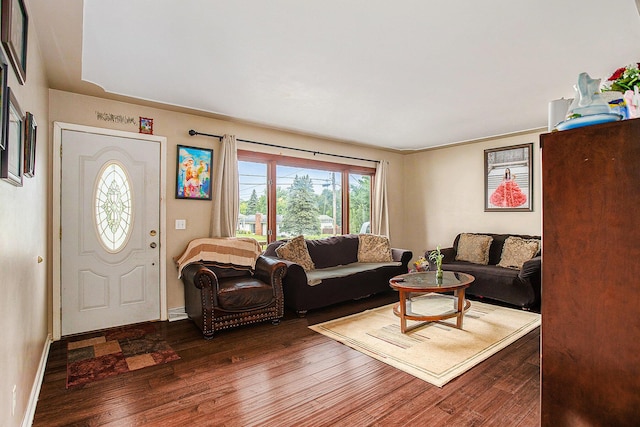 living room with dark wood-type flooring