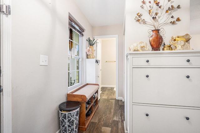 corridor with dark hardwood / wood-style flooring