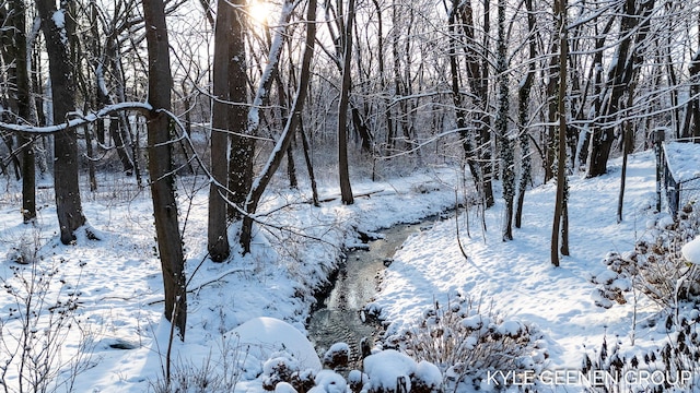 view of snowy landscape