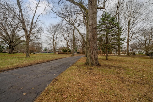 view of road