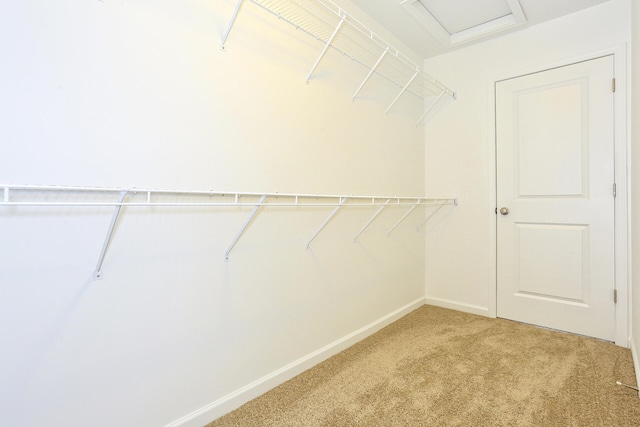 walk in closet with carpet floors