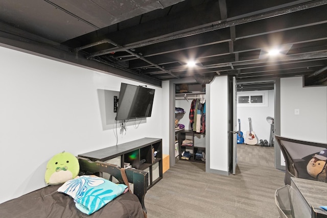 basement featuring wood-type flooring