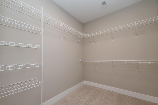 walk in closet with carpet