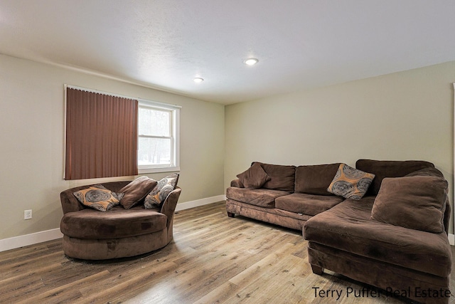 living room with hardwood / wood-style flooring