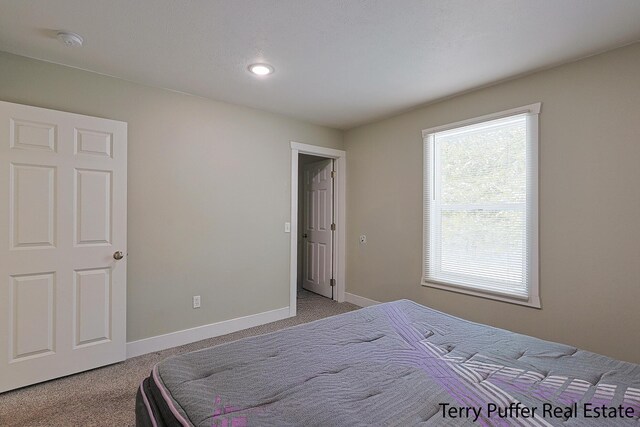 view of carpeted bedroom