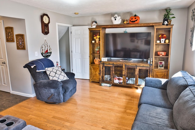 living room featuring light hardwood / wood-style floors