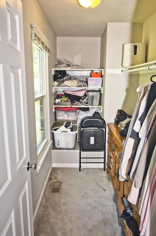 spacious closet featuring light carpet