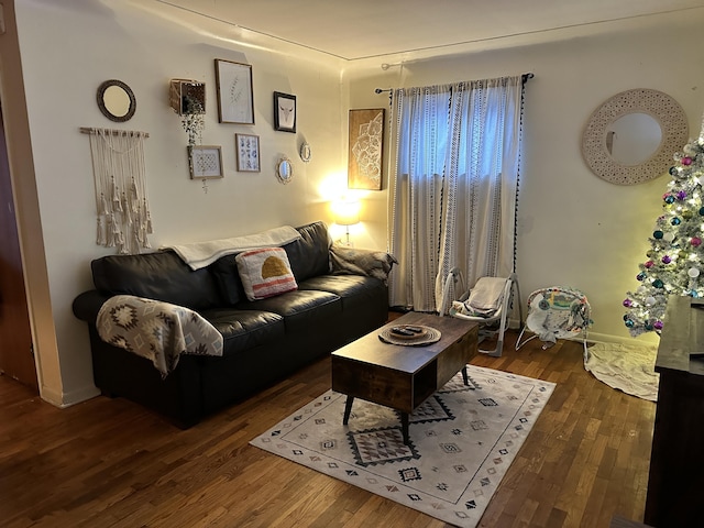 living room featuring dark hardwood / wood-style flooring