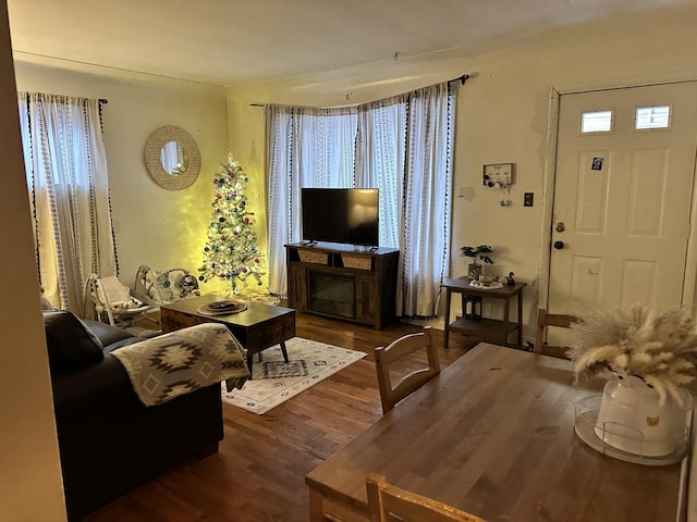 living room featuring dark wood-type flooring