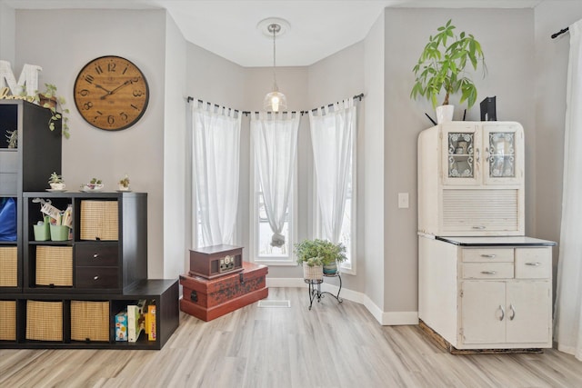 sitting room featuring light wood-type flooring