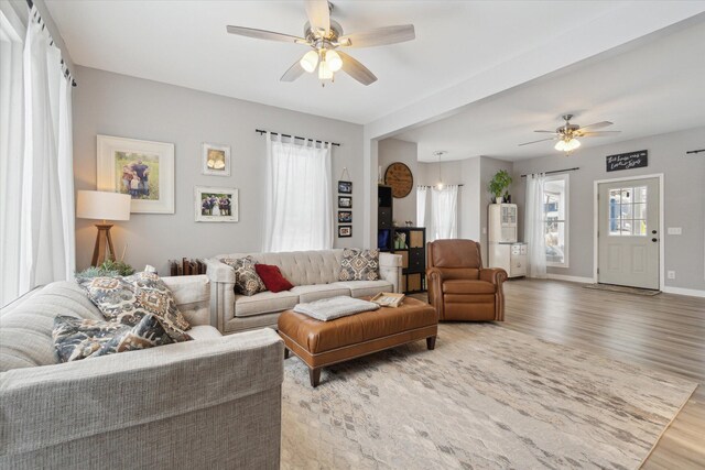 living room with ceiling fan and wood-type flooring