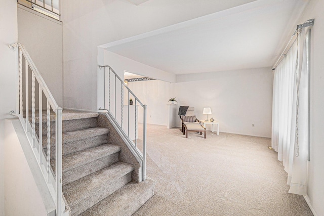 staircase featuring carpet