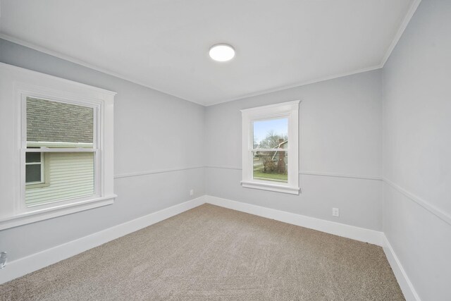 unfurnished room with carpet floors and crown molding