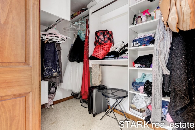 spacious closet with carpet floors