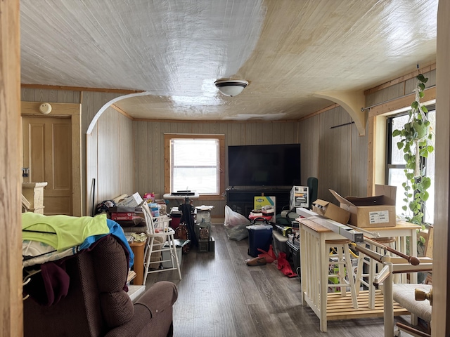 living room featuring wood walls and wood-type flooring