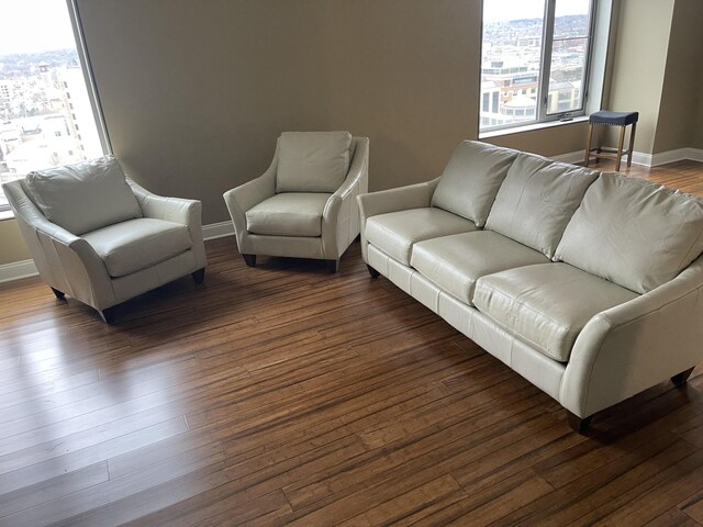 living room featuring dark wood-type flooring