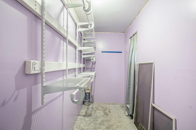 laundry room with carpet floors