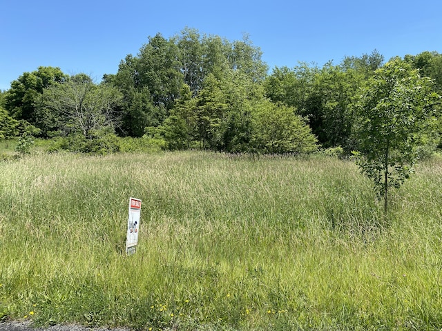 40th St, Bloomingdale MI, 49026 land for sale