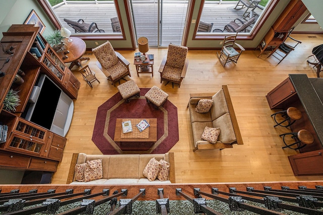 living room with wood-type flooring