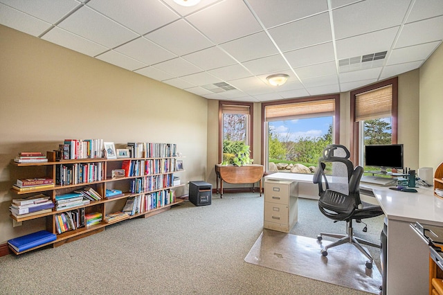 home office featuring a paneled ceiling, carpet floors, and a healthy amount of sunlight