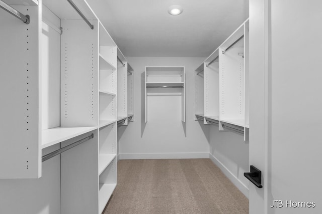 spacious closet featuring carpet