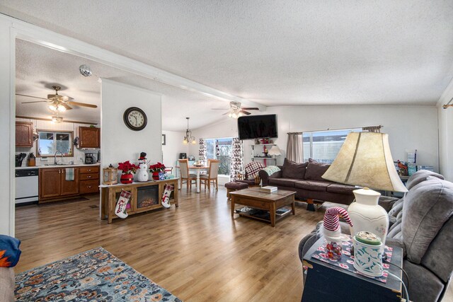 living room with hardwood / wood-style floors, a textured ceiling, vaulted ceiling, and sink