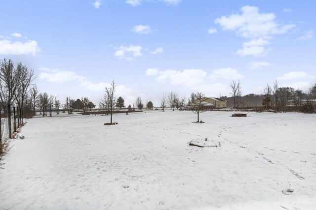 view of yard covered in snow