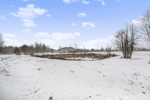 view of yard covered in snow