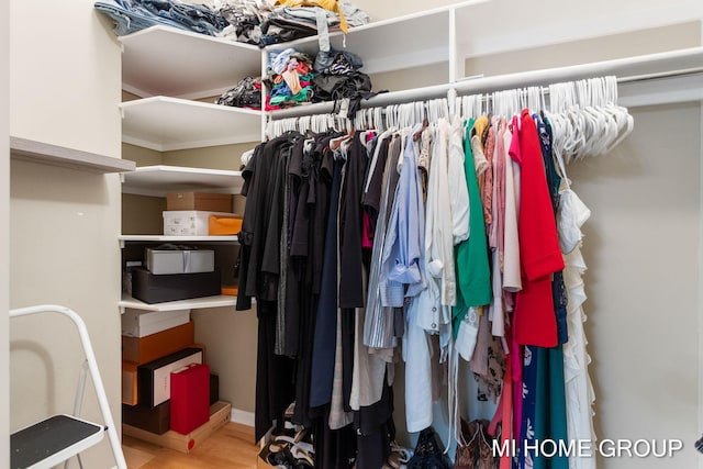 spacious closet featuring wood-type flooring