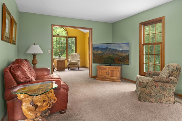 carpeted living room with a healthy amount of sunlight