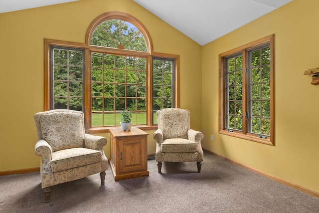 living area with carpet floors and vaulted ceiling