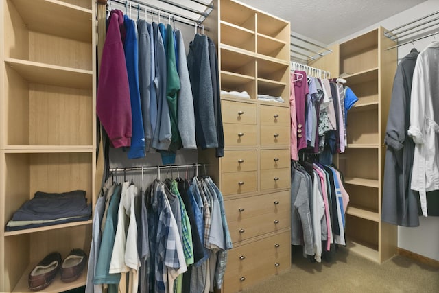 walk in closet featuring carpet floors