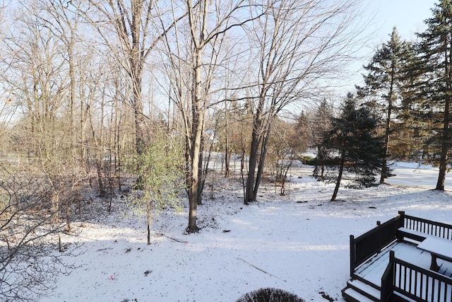 view of yard covered in snow