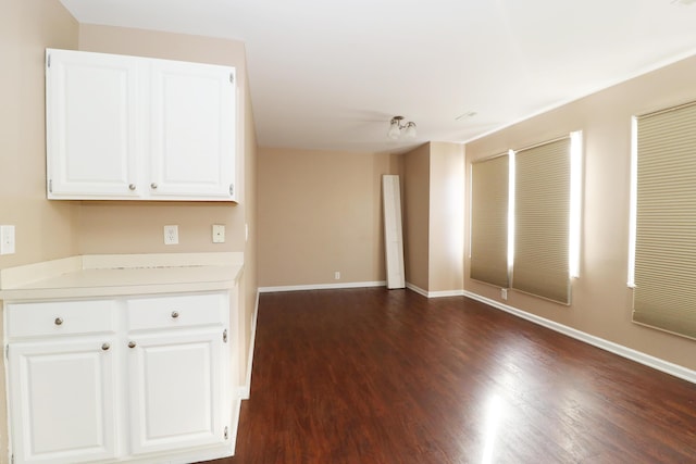 interior space featuring dark hardwood / wood-style floors and white cabinetry