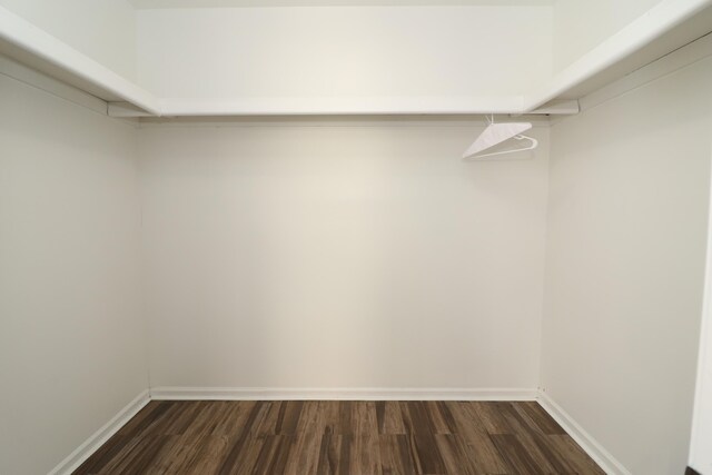 walk in closet with dark hardwood / wood-style floors