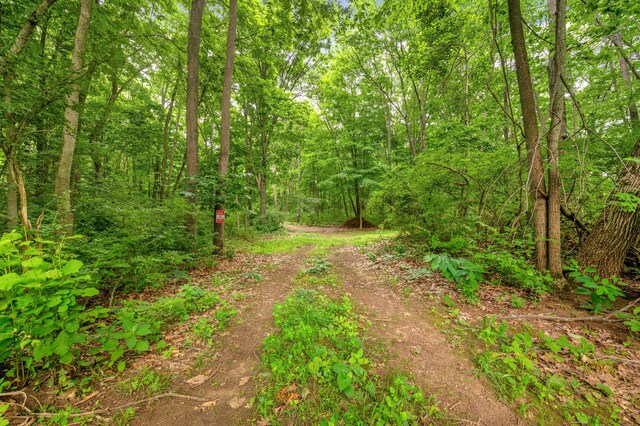 V/L Scenic View Dr, Niles, MI 49120 - photo 17