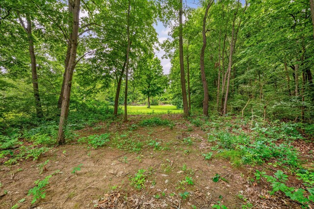 V/L Scenic View Dr, Niles, MI 49120 - photo 18