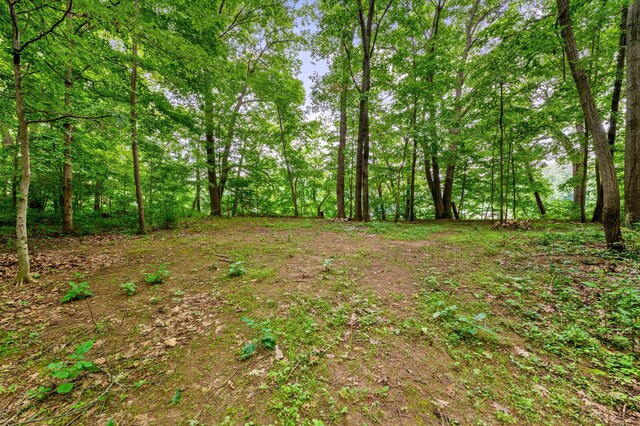 V/L Scenic View Dr, Niles, MI 49120 - photo 19