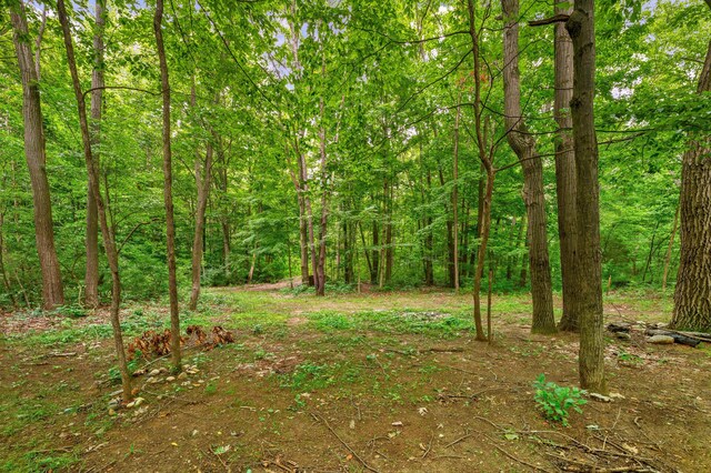 V/L Scenic View Dr, Niles, MI 49120 - photo 20