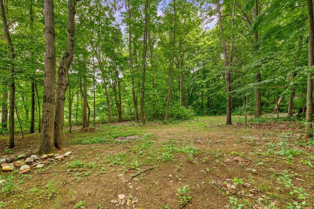 V/L Scenic View Dr, Niles, MI 49120 - photo 21