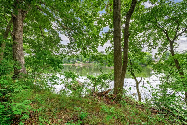 V/L Scenic View Dr, Niles, MI 49120 - photo 22