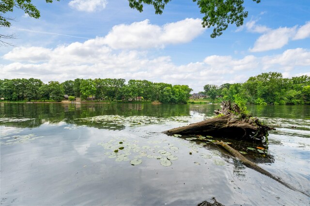 V/L Scenic View Dr, Niles, MI 49120 - photo 23