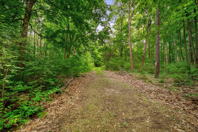 V/L Scenic View Dr, Niles, MI 49120 - photo 24