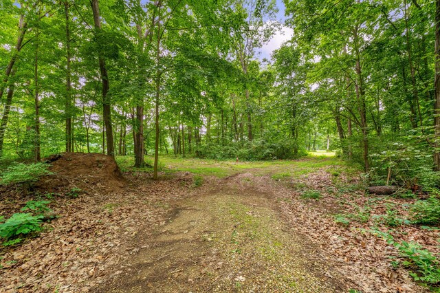 V/L Scenic View Dr, Niles, MI 49120 - photo 25